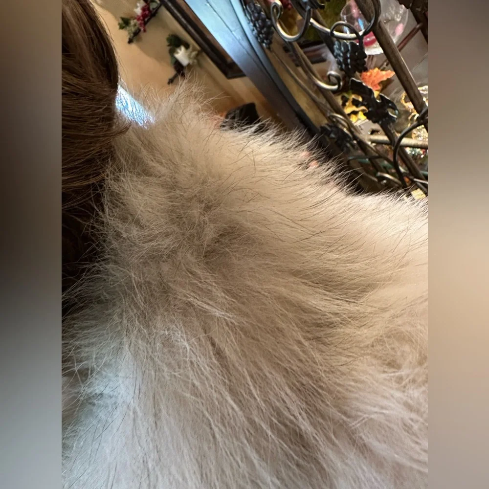 Saga Fox Vintage Coat - Picture 7 of 16